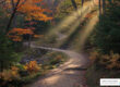 Peaceful path in a Western PA forest representing the journey of healing