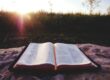 bible verses about mental strength
