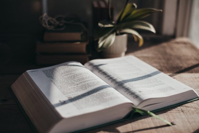 mental health and bible