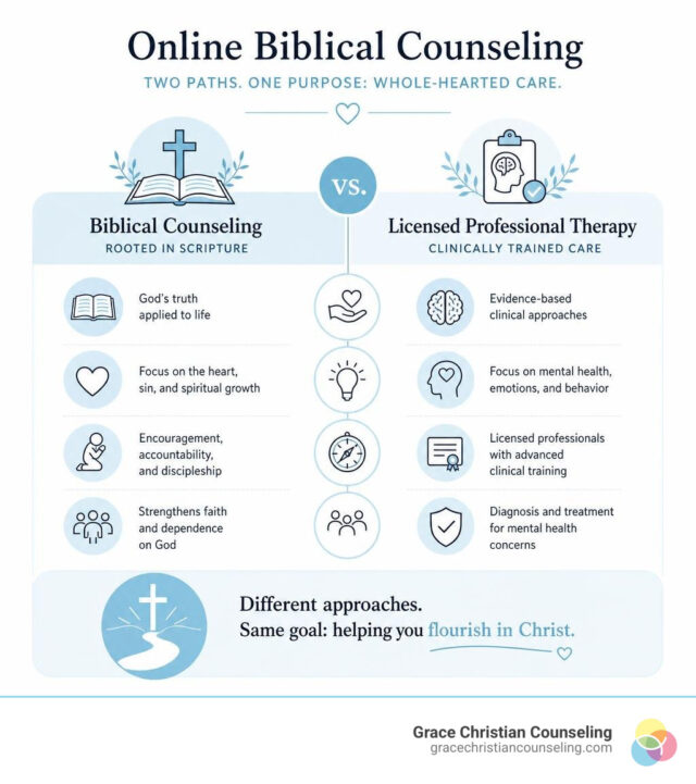 Comparison framework of licensed Christian therapy versus non-licensed biblical soul care