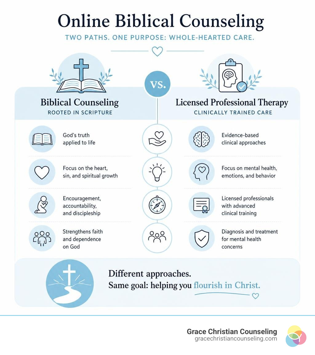 Comparison framework of licensed Christian therapy versus non-licensed biblical soul care